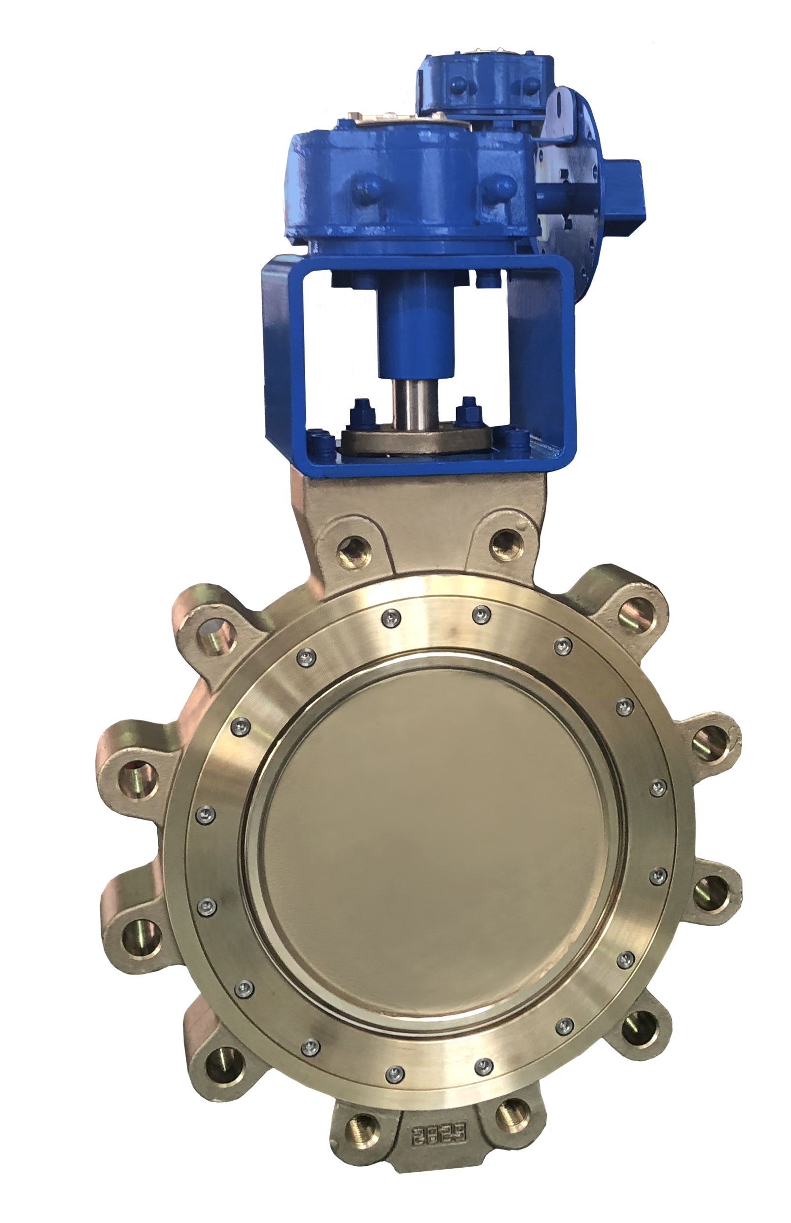 Double offset butterfly valve