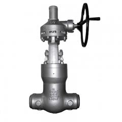 Pressure Seal Globe Valve